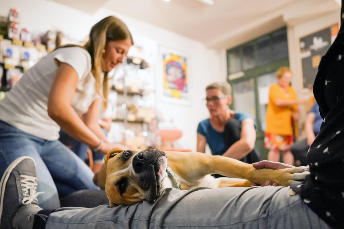 Pudelwohl & Mopsfidel – alles Gute rund ums Tier. Das Fachgeschäft für Hunde & Katzen in Weimar / Thüringen. Kurse für Hundebesitzer aus Weimar, Jena und Erfurt (Erste Hilfe, Hundemassage etc.)