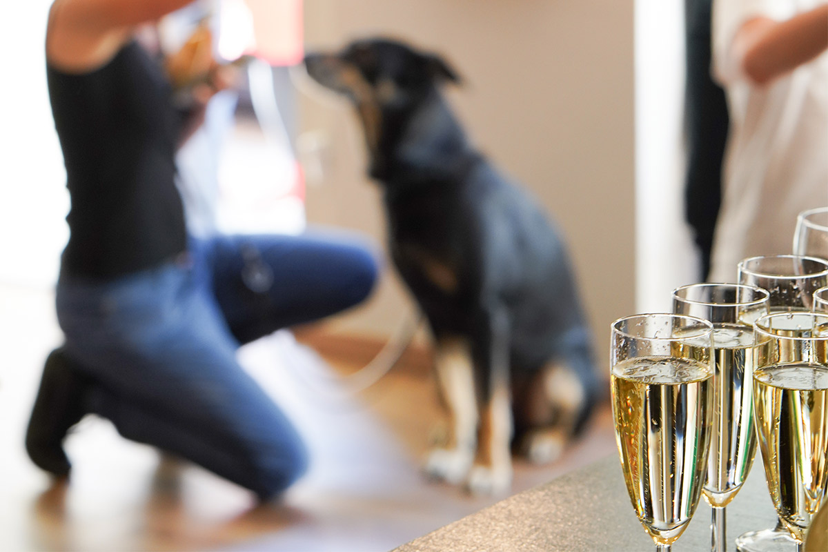 Pudelwohl & Mopsfidel – alles Gute rund ums Tier: Futter, Pflegeprodukte, Zubehör, Spielzeug und vieles mehr im Fachgeschäft für Hunde & Katzen in Weimar / Thüringen.