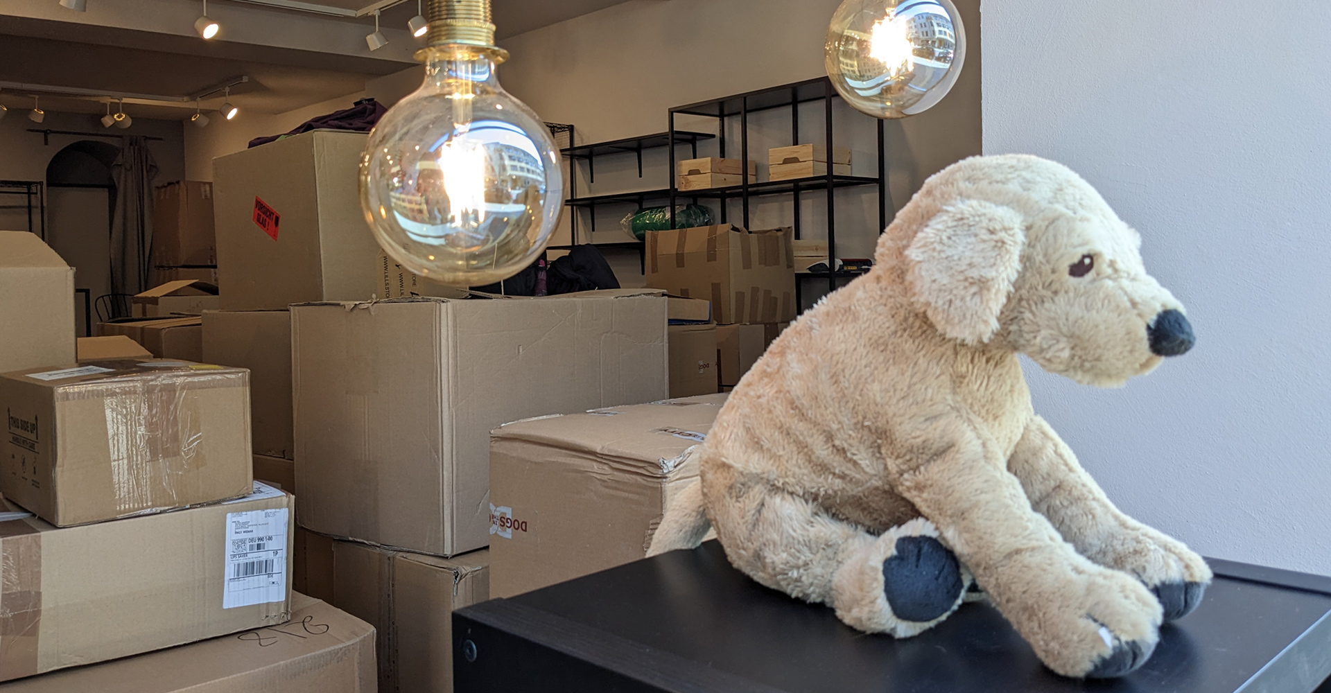 Pudelwohl & Mopsfidel – alles Gute rund ums Tier: Futter, Pflegeprodukte, Zubehör, Spielzeug und vieles mehr im Fachgeschäft für Hunde & Katzen in Weimar / Thüringen.